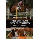 Prévention des blessures chez le cheval 