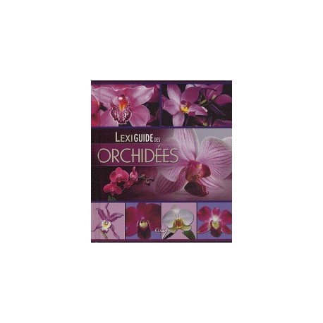 Lexiguide des orchidées