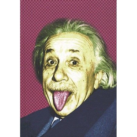 Carnet Albert Einstein - 9782362610134