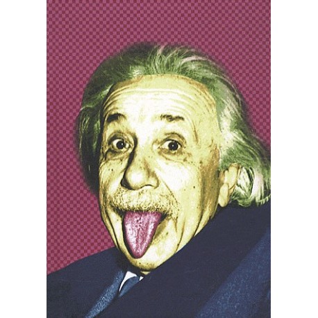 Carnet Albert Einstein