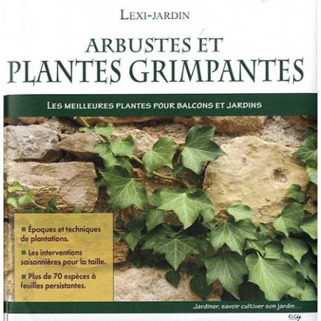 Arbustes et plantes grimpantes - Les meilleures plantes pour balcons et jardins