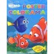 Poster colorama Nemo