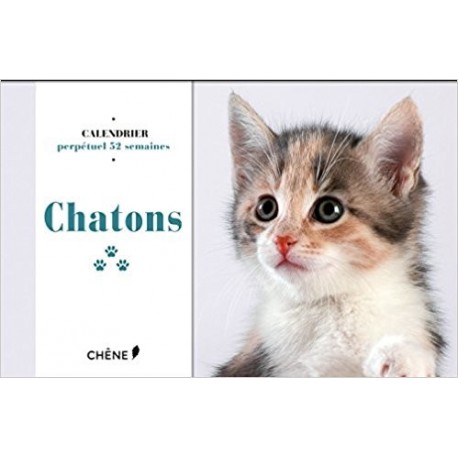 Calendrier 52 semaines Chatons