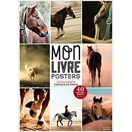 Les plus beaux chevaux du monde (40 posters)