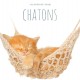Calendrier 2019 Chatons