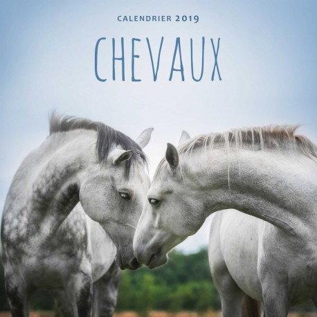 Calendrier 2019 Chevaux