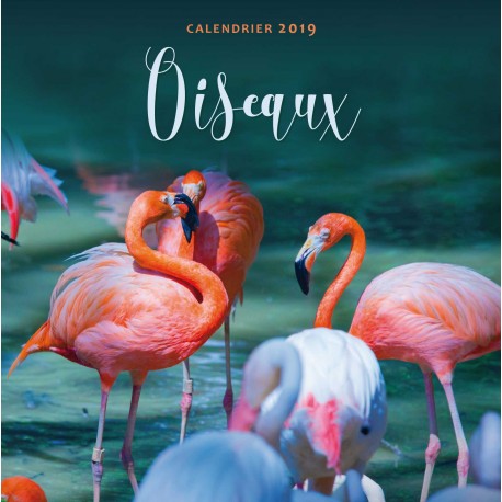 Calendrier 2019 Oiseaux