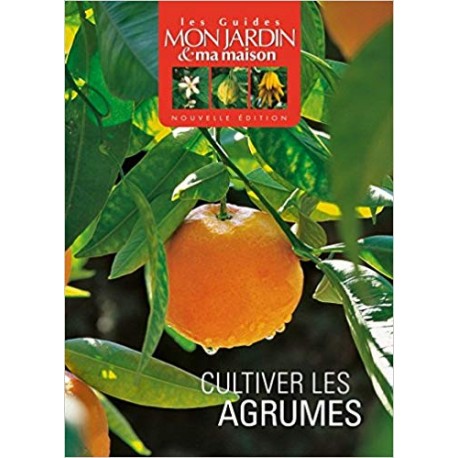 Cultiver les agrumes