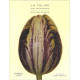 La tulipe une anthologie