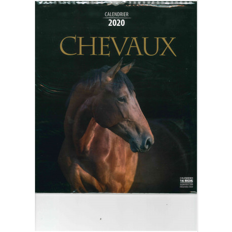 Calendrier 2020 - CHEVAUX