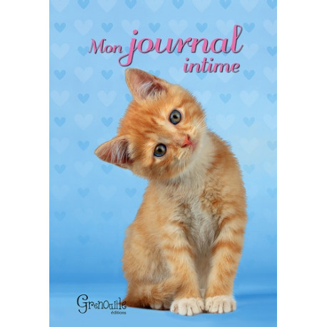 Journal intime chat