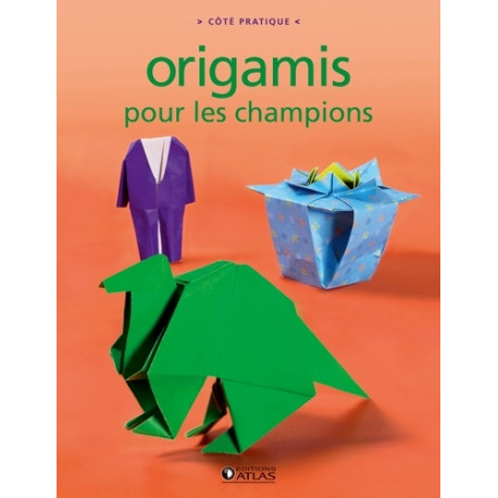 Origamis pour les champions