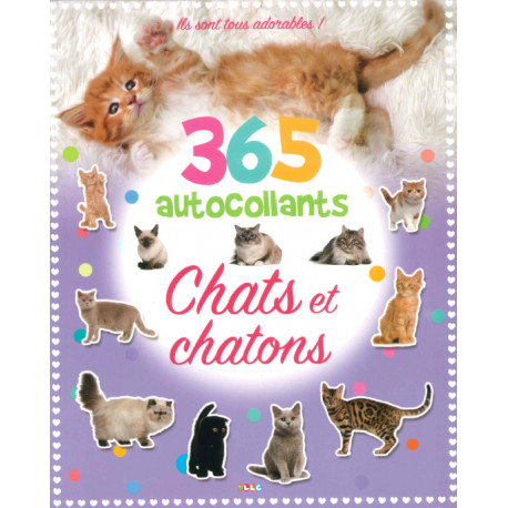 365 autocollants Chats et chatons