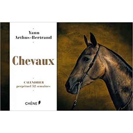 Calendrier 52 semaines Chevaux