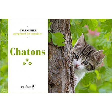 Calendrier 52 semaines Chatons
