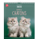 Calendrier 2022 - Adorables chatons