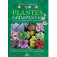 Guide des végétaux : plantes grimpantes