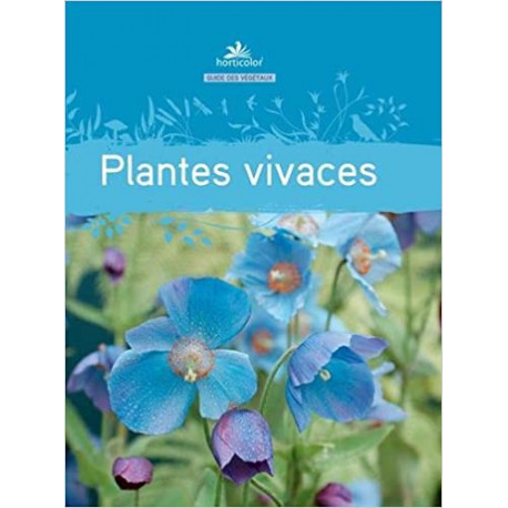 Plantes vivaces (bleu)
