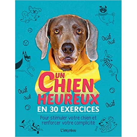 Un chien heureux en 30 exercices