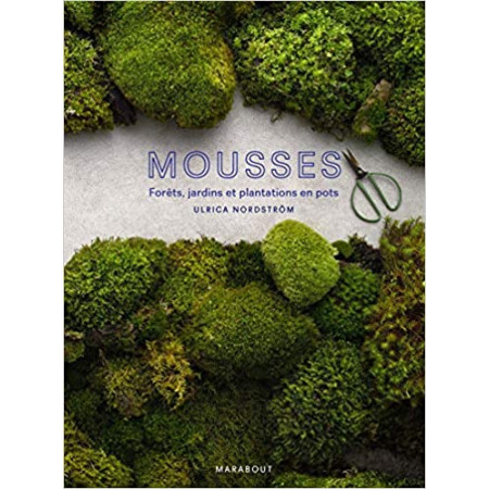 Mousse - Forêts, jardins et plantations en pots