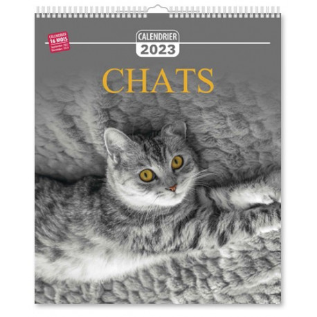 Calendrier 2023 - Chats