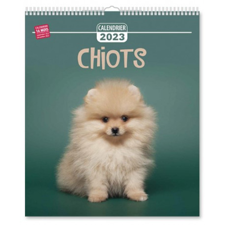 Calendrier 2023 - Chiots