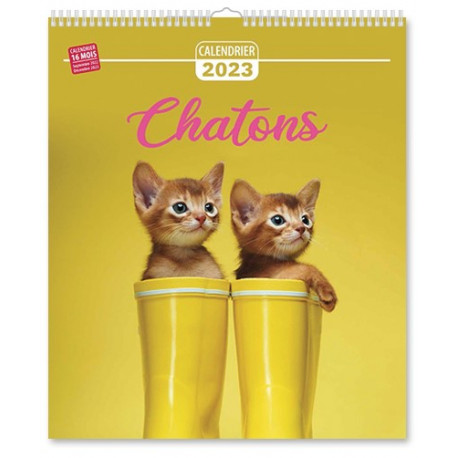 Calendrier 2023 - Chatons