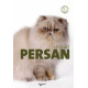 Le chat persan