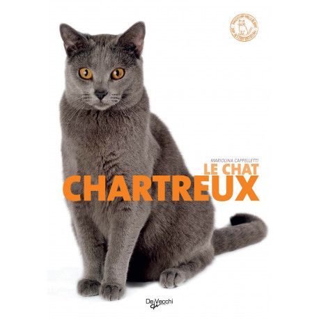 Le chat Chartreux