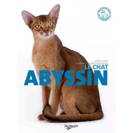 Le chat abyssin