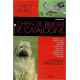 Le chien de berger de Catalogne