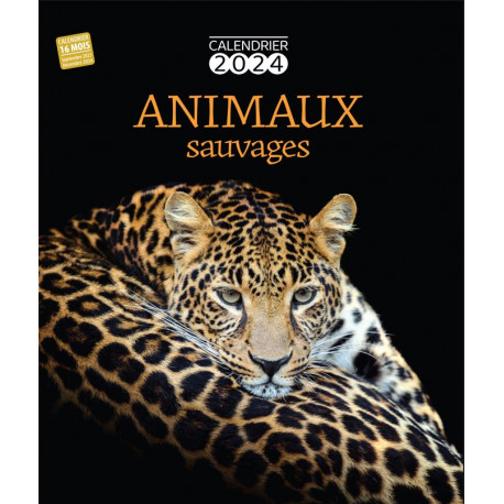 Calendrier 2024 Animaux Sauvages