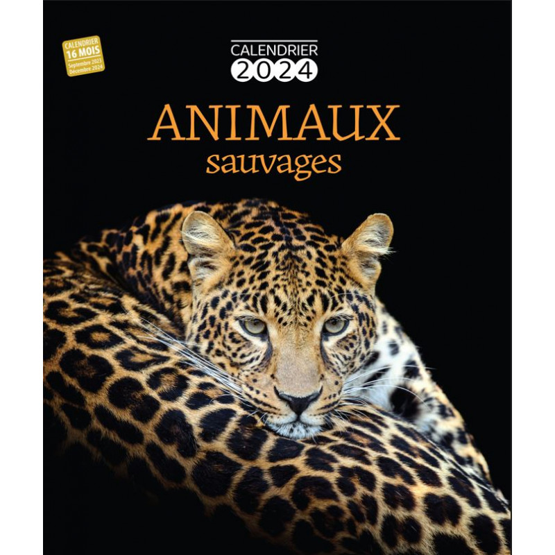 Calendrier 2024 Animaux Sauvages, PAPETERIE, AGENDA / CALENDRIER -  Maxilivres