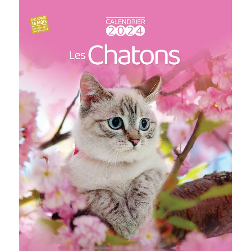 Calendrier 2024 Les Chatons, PAPETERIE, AGENDA / CALENDRIER - Maxilivres