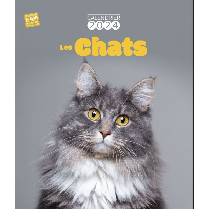 Calendrier 2024 Les Chats, PAPETERIE, AGENDA / CALENDRIER - Maxilivres