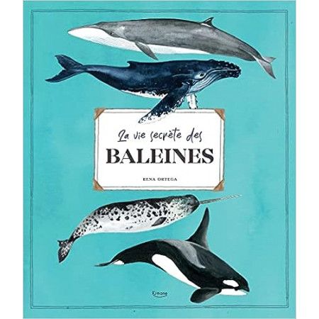 La vie secrète des baleines - 9782383221128