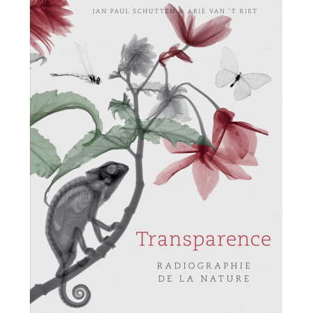 Transparence - Radiographie de la nature