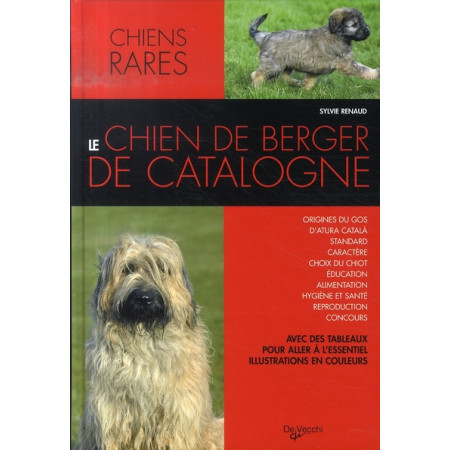 Le chien de berger de Catalogne