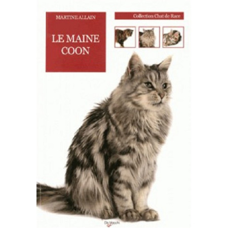 Le chat Maine coon