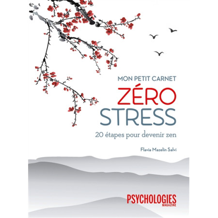 Mon petit carnet zéro stress - 20 étapes pour devenir zen