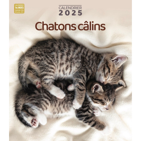 Calendrier 2025 Chatons câlins