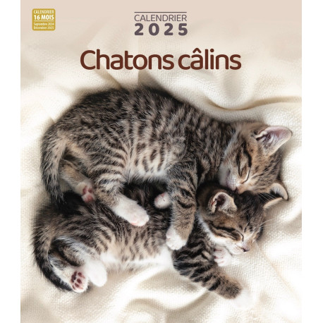 Calendrier 2025 Chatons câlins