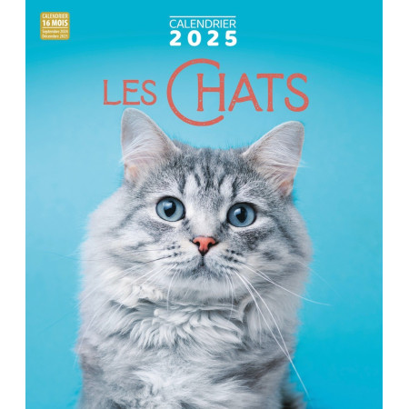 Calendrier 2025 Les Chats
