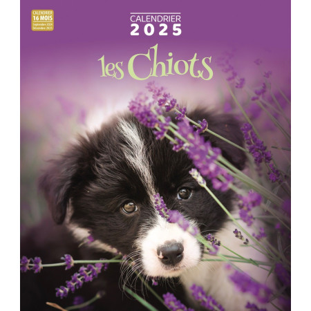 Calendrier 2025 Les Chiots