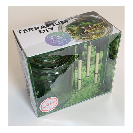 Green terrarium DIY