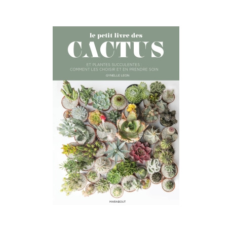 Le petit guide Marabout des cactus - choisir et soigner vos cactées et succulentes