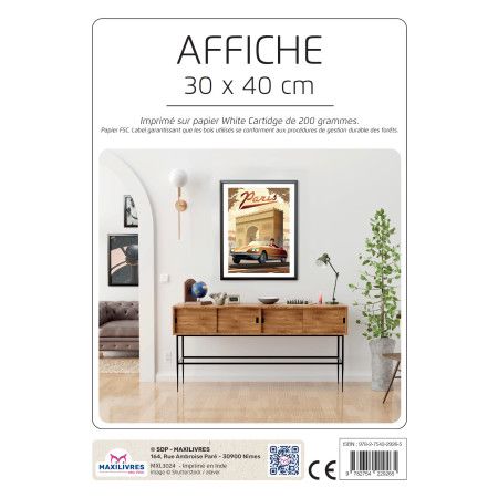 Poster - Paris - Arc de Triomphe - 9782754229265