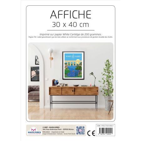 Poster - Le pont du Gard - 9782754229241