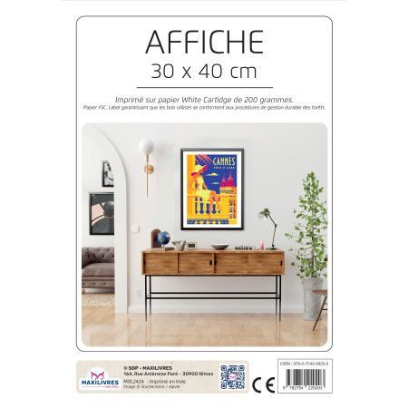 Poster - Côte d'azur - Cannes - 9782754229203
