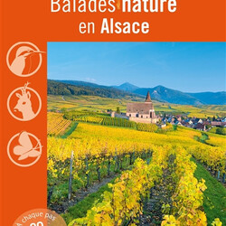 Balades nature en Alsace